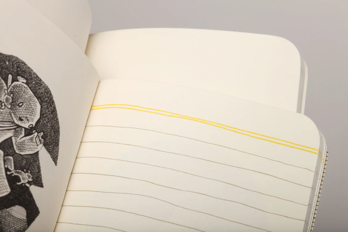 Field Notes Haxley - Image 4